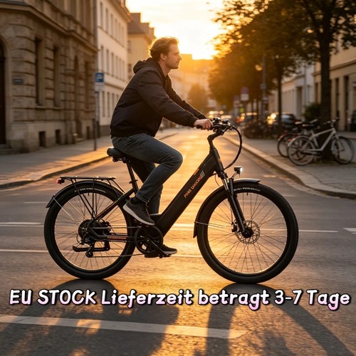 Zoll elektrofahrrad 750w - zoll,