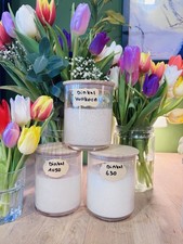 Sauerteig Starter Set Dinkel -