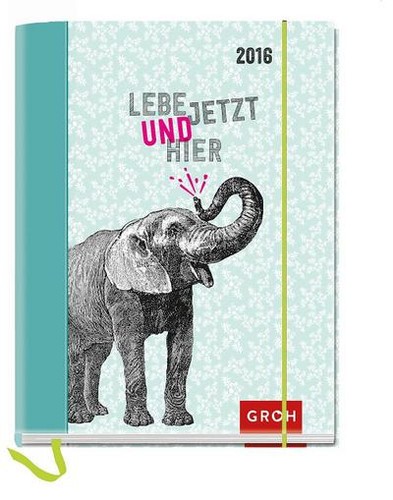 Lebe jetzt und - hier, 2016