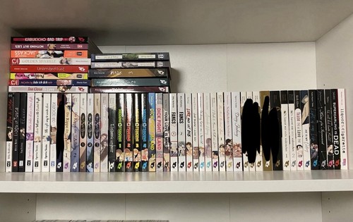 Manga set verschiedene - bl,