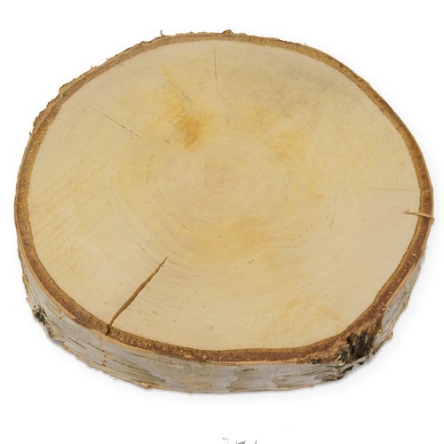 Deko holzscheibe baumscheibe - deko,