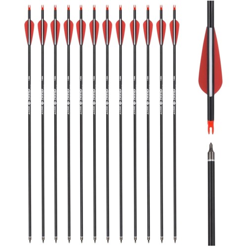 Pfeile carbon zoll 12 - 31,