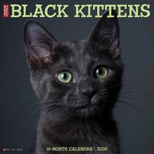 Black Kittens 2026 12 x 12 Wandkalender von Willow Creek Press