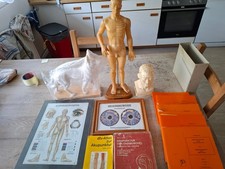 Akkupuktur Puppen/Kopf/ Hund und Bücher/Bilder