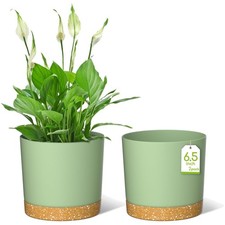 Blumentopf, Pflanzenkübel