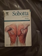 Sobotta Lernkarten Muskeln 7. Auflage Elsevier