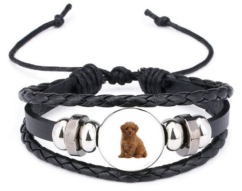 Spielzeug pudel hund haustier - spielzeug,