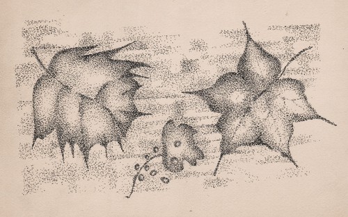 Art brut outsider - art,