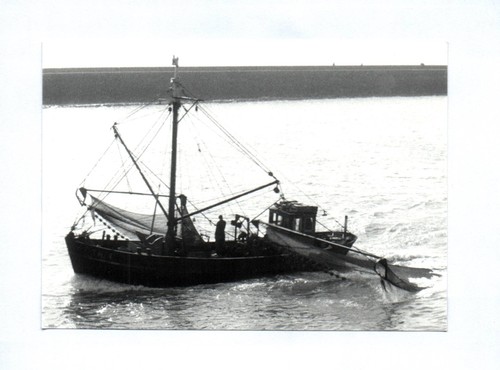 Foto den haag scheveningen - foto,
