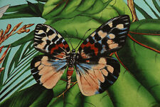 TAPETENBUCH Paradisio Tapetenmuster Papier Hintergrundpapier Bastelpapier Fotos