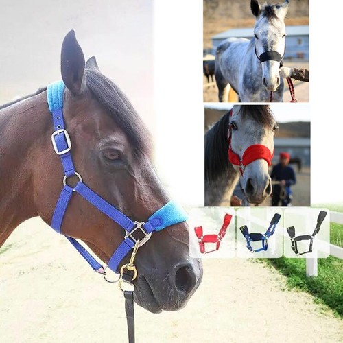Gepolsterter pony cob horse - gepolsterter,