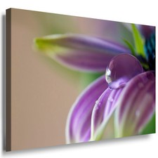 Wandbild blume violet - blume,