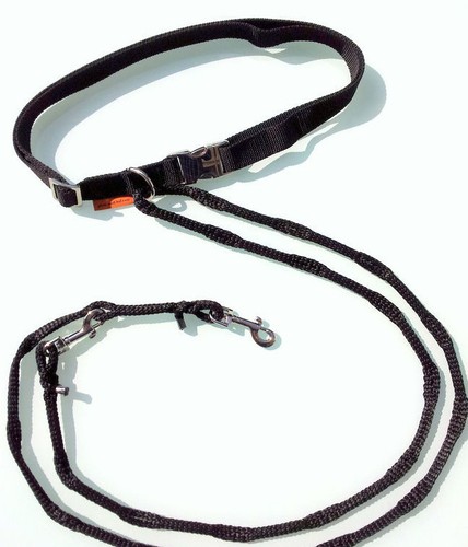Joggingleine fahrradleine - joggingleine,