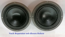 2x Sicke für Magnat