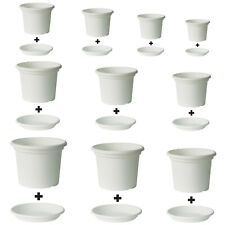 Blumentopf mit Untersetzer in