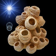 Aquarium Deko 🍀 GARNELEN