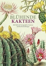 Blühende Kakteen: Alle Tafeln
