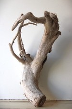 Treibholz Schwemmholz