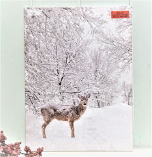 LED Bild Reh Winterlandschaft