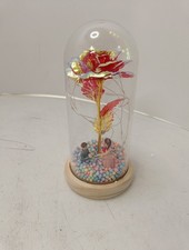 leuchtende Rose in Glaskuppel