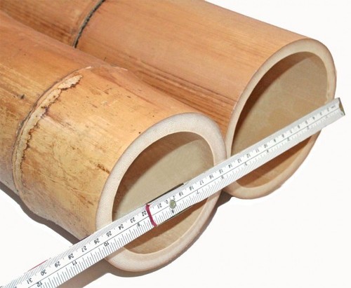 Bambusrohr 300cm durch - bambusrohr, durch.