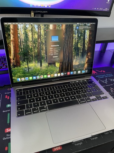 Apple macbook pro - pro, intel