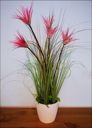 Künstliche orchidee mit - künstliche,