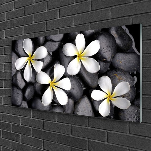Glasbilder 100x50 wandbild - 100x50,