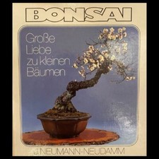 Bonsai große liebe zu - große,