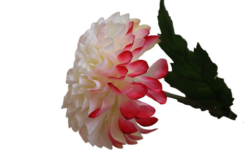 Dahlie künstlich peach - peach, cm