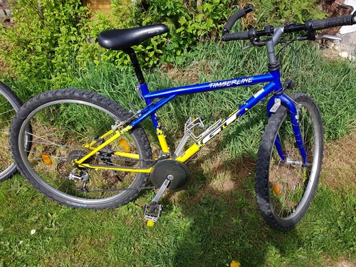 Mountainbike von - , gt
