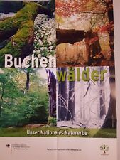 Poster. A 1. BMU: Buchenwälder. Unser Nationales Naturerbe.