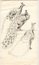 Alte Zeichnung Skizze Tinte