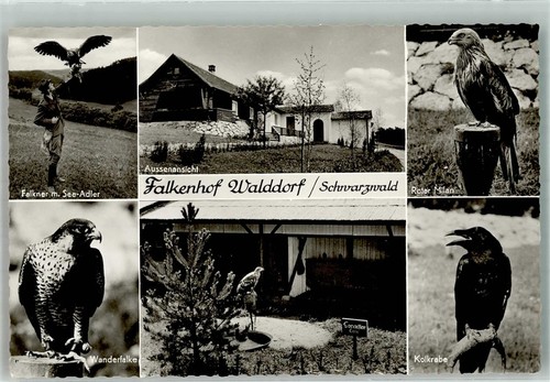 38225665 7272 walddorf - -,
