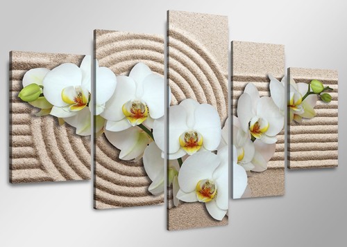 Bild tlg orchidee - 5,