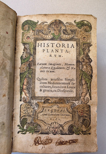 1561 antikes kräuterbuch - 1561,