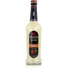 Riemerschmid bar sirup kokos - riemerschmid, bar-sirup