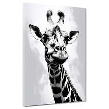 Giraffe schwarz weiß Tier Leinwandbild Wandbild Kunstdruck XL Deko