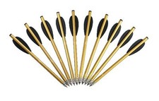 10 Alu Bolzen Pfeile für