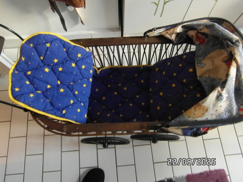 Historischer puppenwagen mit - historischer,