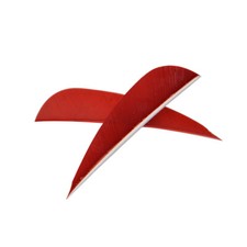 50x Bogenschießen Naturfedern