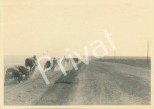 Foto WKII 97. Jäger-Div