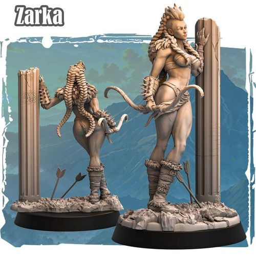 Haito barbarian zarka - haito,