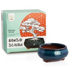 Bonsai Schale in Marineblau, rund - für die perfekte Inszenierung deines Bonsais