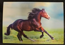 3 D Pferdepostkarte, AK Pferde, Pferdepostkarten 