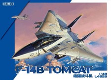 GREAT WALL HOBBY: US Navy Grumman F-14 B Tomcat in 1:48