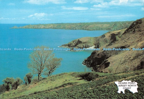D130133 vicard point trikot - point,