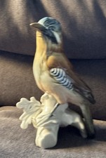 Karl Ens Eichelhäher