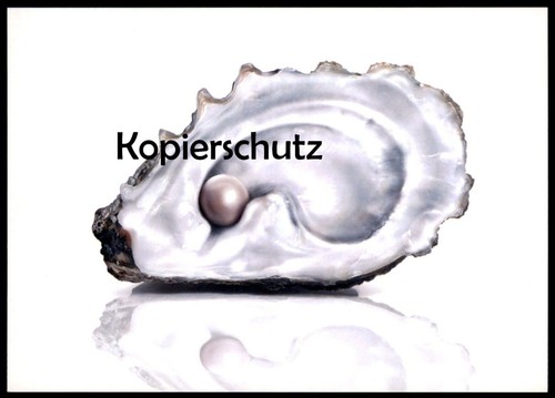 ältere postkarte muschel - Ältere,