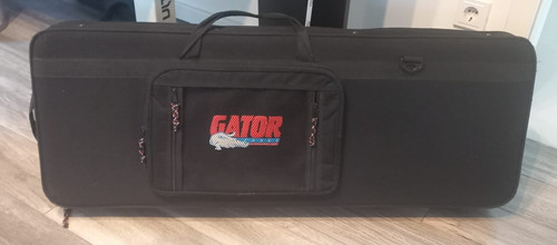 Gator electric guitar - gator,